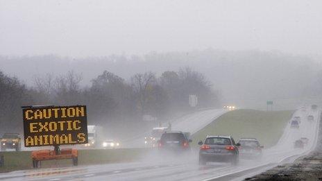 A sign warns passing motorists about exotic animals on the loose in Zanesville, Ohio, on 19 October 2011