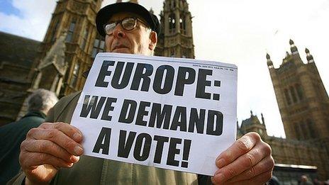 Campaigner calling for a referendum on the Lisbon Treaty in 2008