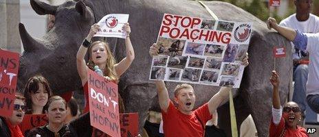 Protesters gather outside Parliament on National Rhino Day, September, 2011 file