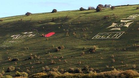 Giant Poppy in Wiltshire