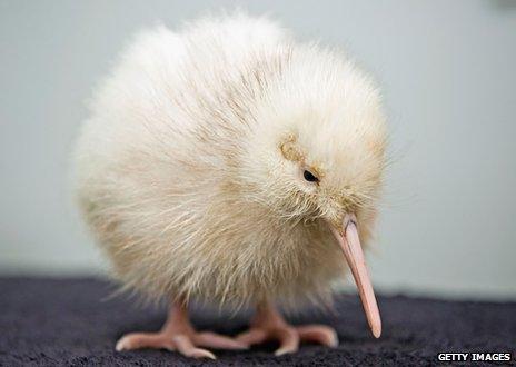 Manukura (Credit: Getty Images)