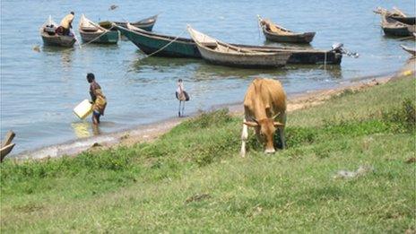 The village of Bugoma