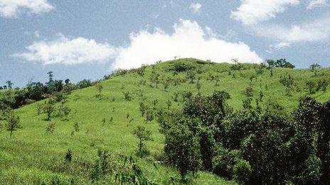 Assisted natural regeneration project, Philippines (Patrick Durst/FAO)