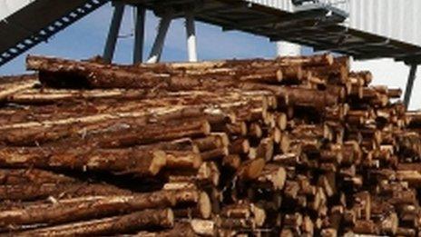 Wood at biomass plant (generic)