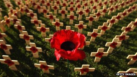 Volunteers planted 11,000 remembrance crosses in Edinburgh