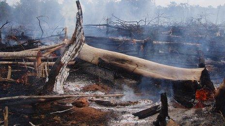 Smouldering remains of a forest fire, Brazil (Image: Guido van der Werf)