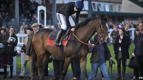 Kauto Star is paraded following the racing on Betfred Haldon Gold Cup Day at Exeter Racecourse