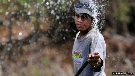 Irrigating crops in Nicaragua. Photo: N.Palmer/CIAT