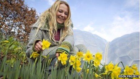 The early daffodils and an Eden Project horticulturist