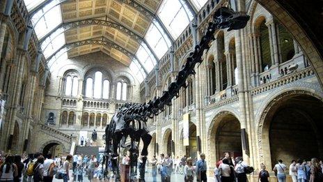 Natural History Museum, London
