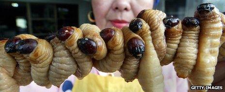 Skewered grubs on sale in Thailand