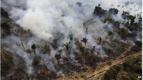 Forest being illegally burned in Brazil (September 2009)