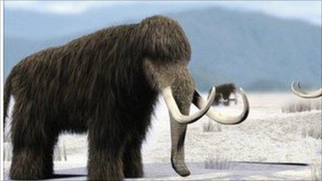 Woolly mammoths