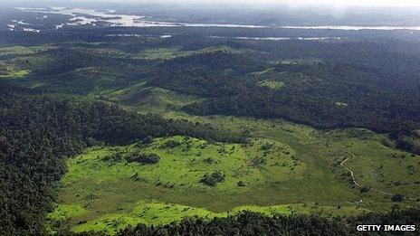 Amazon rainforest