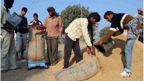 india,grain,food