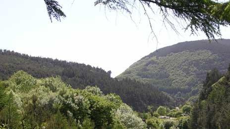 Afan Valley