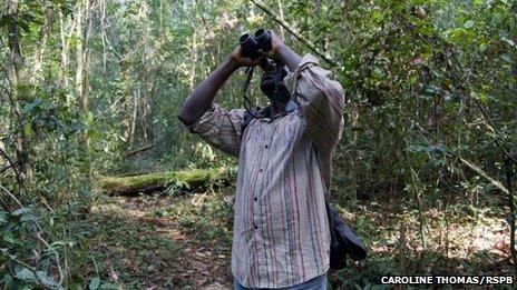 A man with a binoculars at the bird park in Sierra Leone (archive shot)