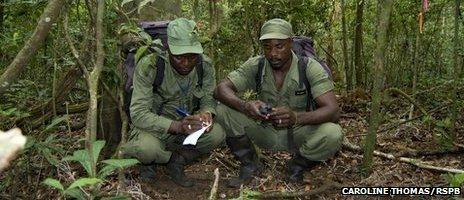 Rangers at a bird park in Sierra Leone (2011)