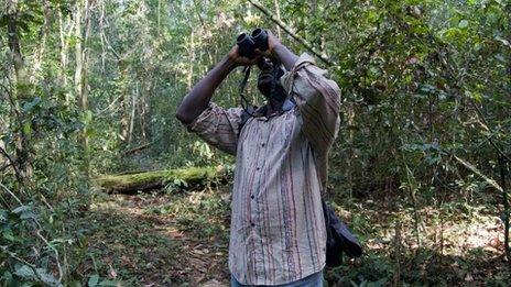 A man with a binoculars at the bird park in Sierra Leone (December 2011)