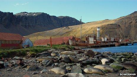 Grytviken on the island of South Georgia is where Frank Wild and Sir Ernest Shackleton are buried