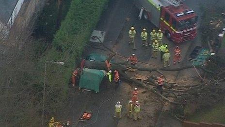 The scene in Tunbridge Wells where a man was killed by a falling tree