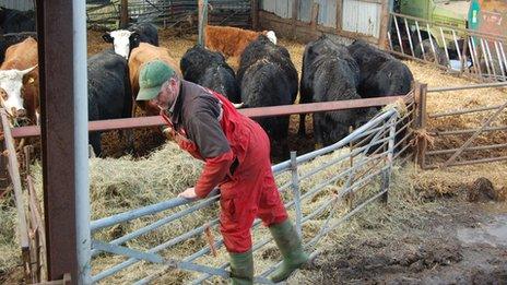 Richard Smith Burton Green beef and arable farmer