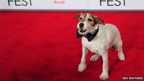 Uggie from The Artist