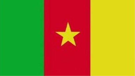 Cameroon flag