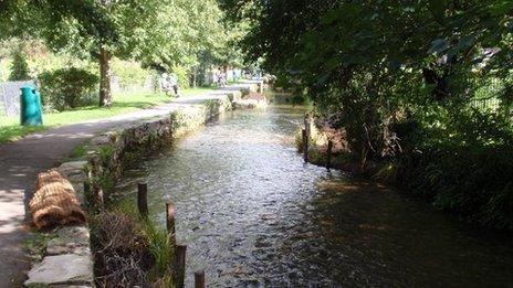 Mill Stream in Dorchester PHOTO: Dorset Wildlife Trust