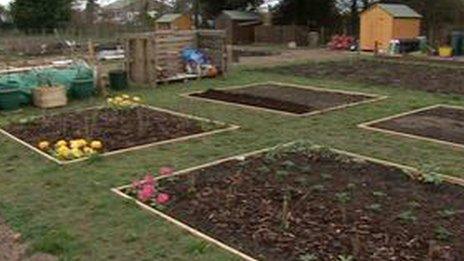 Allotment in St Brelade