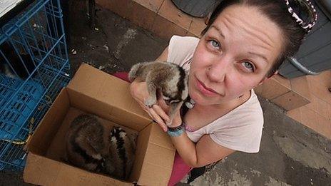 Anna Nekaris and a slow loris in a market in