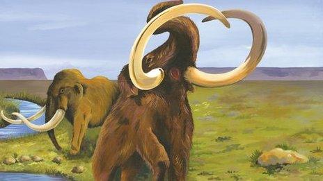 Artist impression of mammoths in Jersey