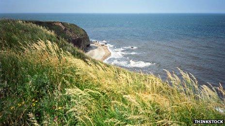 Crimdon Dene