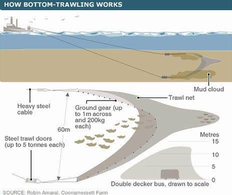 Schematic of bottom-trawling