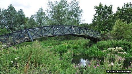 The Mathematical Bridge along the UEA Wildlife Trail