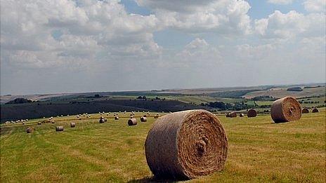 Bales of hay in Wiltshire, UK - file pic