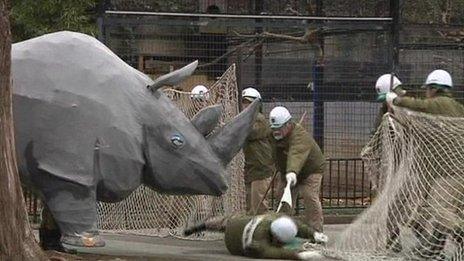 Papier Mache rhino