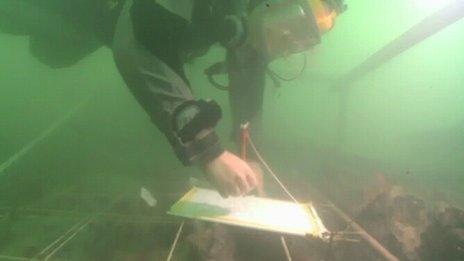 Diver from Hampshire and Wight Trust for marine archaeology