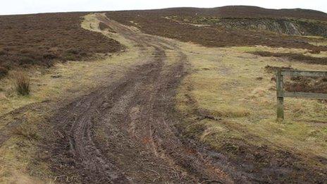 Damage caused on the Llantysilio mountain