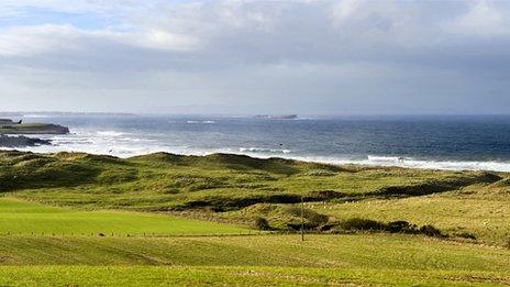 Grass-covered sand dunes