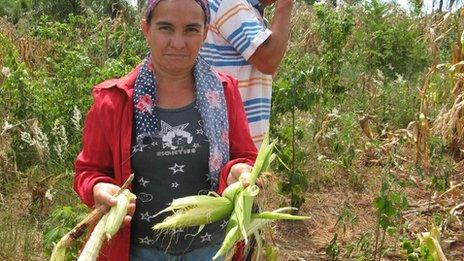 Rosa Aquino holding stunted maize