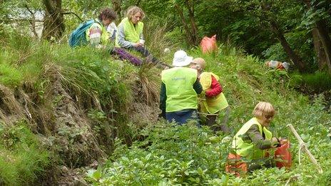 Volunteers pulling up Himalayan balsam in Pembrokeshire