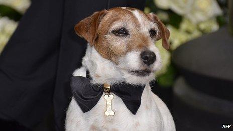 Uggie the dog