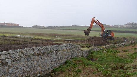 Work at the Colin Best Nature Reserve in Guernsey