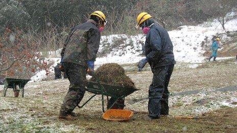 Workers remove contaminated topsoil and vegetation