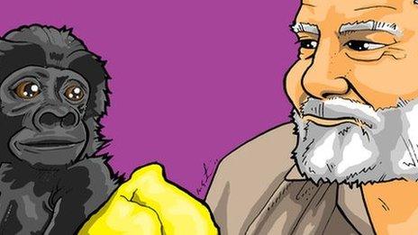 Gerald Durrell and a baby gorilla