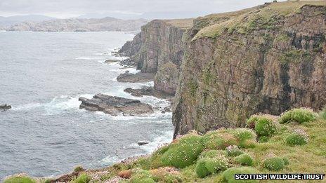 Handa. Pic: Scottish Wildlife Trust