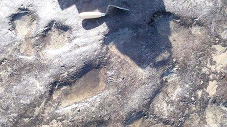 Fossilised footprints