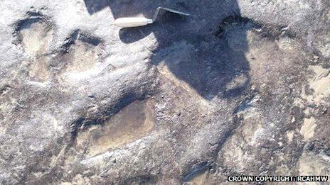 Fossilised footprints