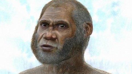 Drawing of what the human may have looked like